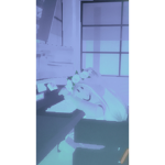 IndiesFrogs