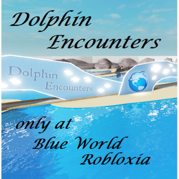 Dolphin Stadium Dolphin Encounters