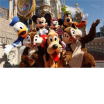 Disney World Fans!!