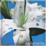 ephemera.