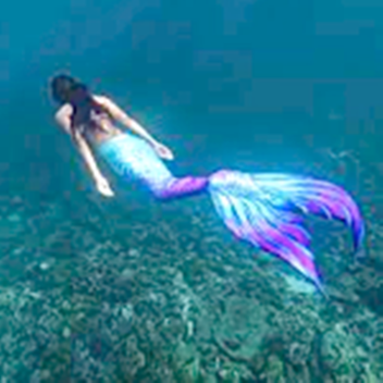 🌊MERMAID WORLD!