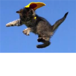 KITTY ######!