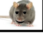 Rats Military