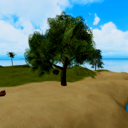 A Day At The Beach