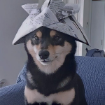 riisHme
