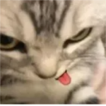 2CuteForU