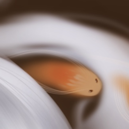 𝒩𝒶𝓉𝓊𝓇𝑒 𝒲𝑜𝓃𝒹𝑒𝓇𝓁𝒶𝓃𝒹
