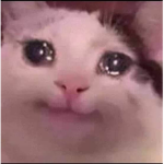 ¬Copper crowns of Memes¬