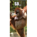 Funny monkey