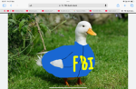 FBI duck duck