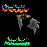 Winged Angels Club