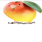 MangoBird Group