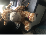 HELLO LEONNIE