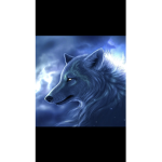 WOLFYS ONLY