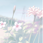 blossomsssss
