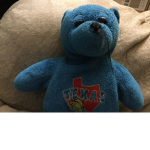 Blue bears