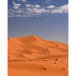 Desert racing!