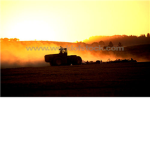 Tj's Farms