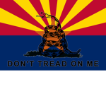 Fort Cassidy Militia