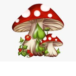 MUCH MUSHROOMS