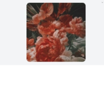 Ｍｅｌａｎｉｅ ｍａｒｔｉｎｅｚ ｂｉｇｇｅｓｔ ｆａｎ ｇｒｏｕｐ