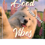 ~Puppy Vibes~
