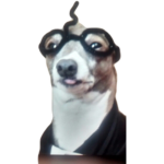 Idk just join for ROBUX
