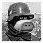 North Korean Rebel