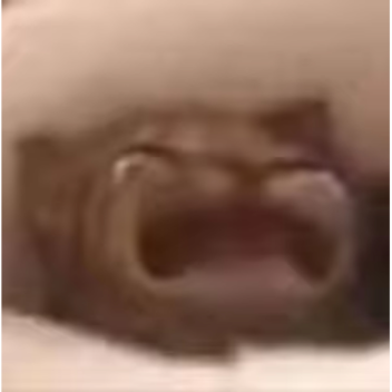 attack on titan