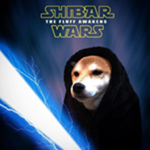 Doge Funding Group