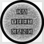 Da Yeet Gang