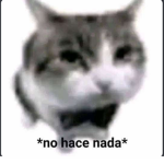 Meme RP Group