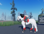 Lesson Club