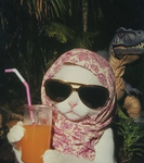 Aesthetic modelz