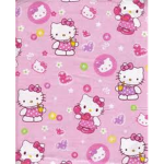 The Hello Kitty Fan Group