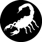{099 Block} South Side Scorpions (SSS)