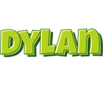 Dylan plays fan group