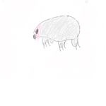 drabo