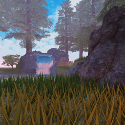 The Forest Experience