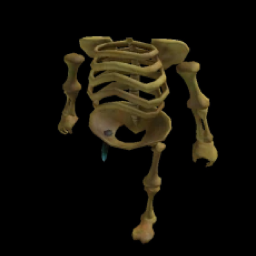 [FREE!] Headless Skeleton Bundle