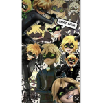 Chat Noir is King
