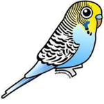 Budgie fan club