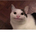 This is bobux and not for u