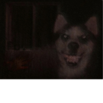 Smile dog cult
