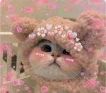 ~~cutie cats~~