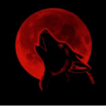 Blood Moon Inc