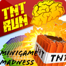 Minigame Madness