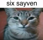 the remaining bacons