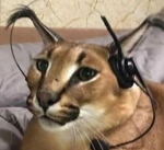 epic gamer floppas