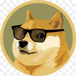 The doge rises fan group